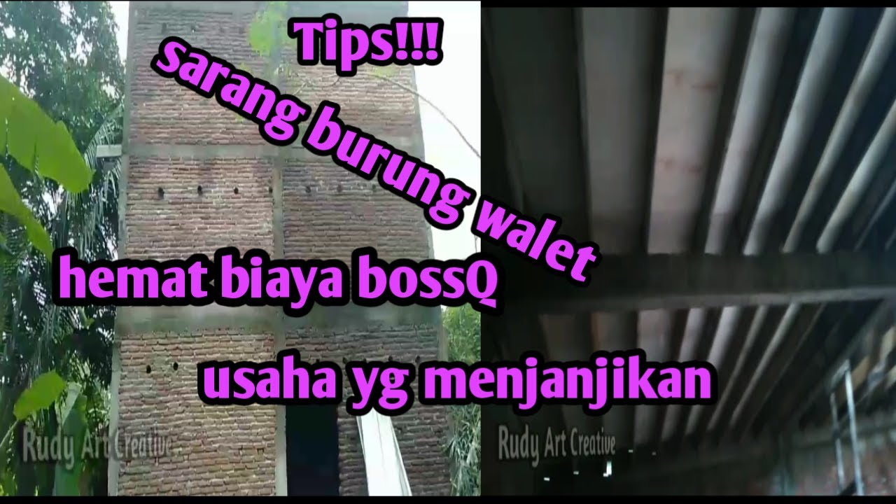Tahapan pembuatan sarang burung walet 
