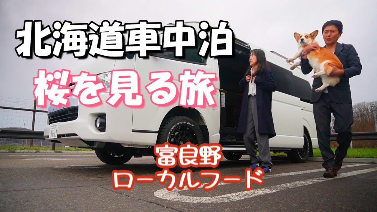 2023 COJO TWIN FEVER 5.8 フィン付　名古屋近郊引渡のみ 2023 COJO TWIN FEVER 5.8 フィン付 名古屋近郊引渡のみ