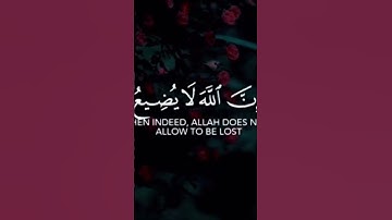 قران كريم || اجر لي ولكم | استغفر الله