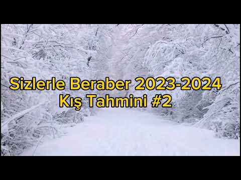 2023 - 2024