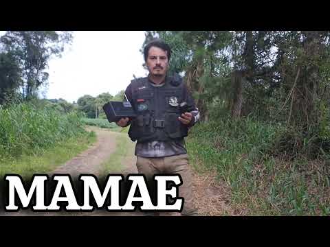 CRIANÇAS DESENCARNADAS CHAMAM PELA MÃE !