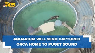 Miami Seaquarium agrees to send orca captured from the Puget Sound home