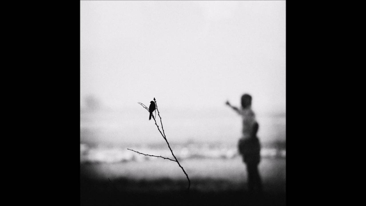 Jóhann Jóhannsson - A Sparrow Alighted Upon Our Shoulder