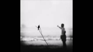 Jóhann Jóhannsson - A Sparrow Alighted Upon Our Shoulder