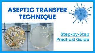 Aseptic Transfer Technique in Microbiology