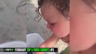 Top 5 user-submitted videos of February 2017