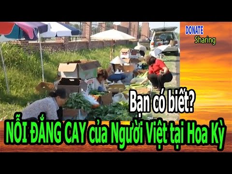 Video NỖI ĐẮNG CAY của Người Việt tại Hoa Kỳ - Bạn có biết?... - youtube