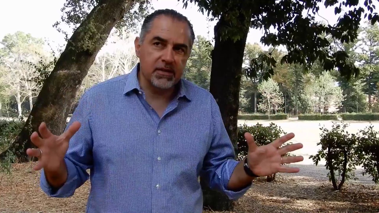 Prof. Francesco Ferrini - La salute delle piante e la sicurezza dei cittadini (intervista completa)