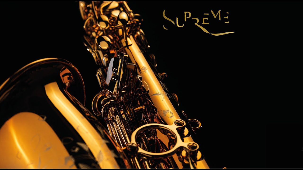 selmer reference 54 alto selmer reference 54 alto