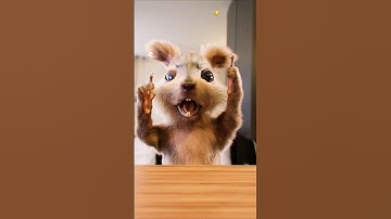 When your friend thinks he can sing 🙂 #squirrel #egofilm