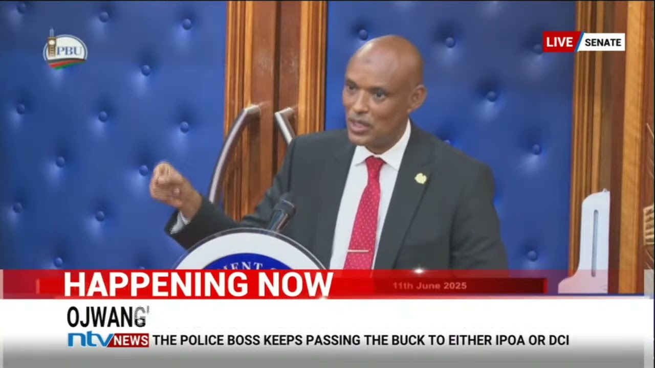 DCI Amin appears before senate to answer questions regarding Albert Ojwang's arrest