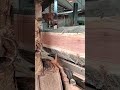 advanced process of splitting wood with a sawmill machine  #shorts #woodworking