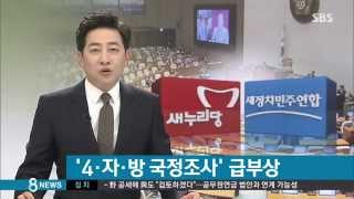 [정치] '4·자·방 국조' 급부상…공무원연금 연계가 쟁점 (SBS8뉴스|2014.11.4)