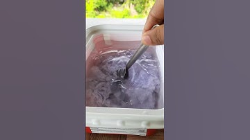 Recycle Paper at Home | #shorts #mrspark27