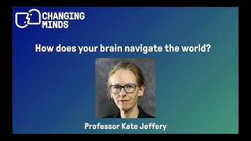 How does your brain navigate the world?