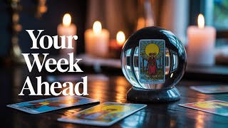 Weekly Tarot Reading for All Signs 🔮 | Card of the Week: The Chariot | 19–25 May 2025
