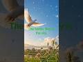 #DreamTrackAI A personal rain cloud just for me, A personal rain cloud just for me