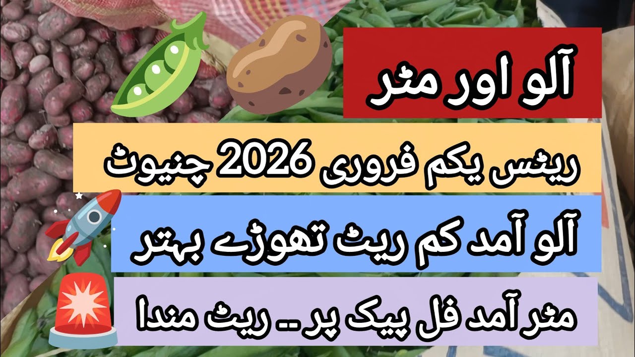 Боли из гороха и картофеля | Рыночные ставки 01.02.26 Чиниот