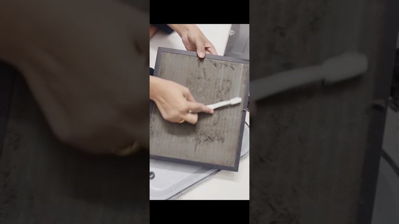 How To Clean a Honeywell Air Purifier Filter in 5 Minutes (Fast & Easy)