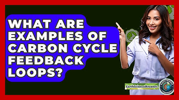 What Are Examples Of Carbon Cycle Feedback Loops? - Earth Science Answers