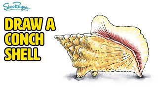 How to Draw and Paint a Conch Shell in Watercolour