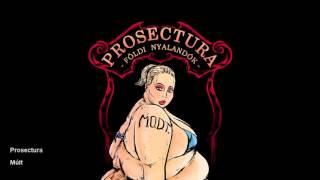 Video thumbnail of "Prosectura - Múlt"