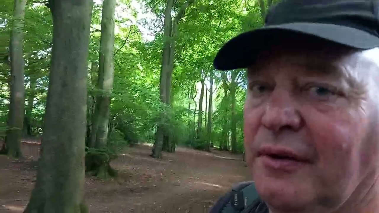 Chiltern woodlands and Coombe Hill.