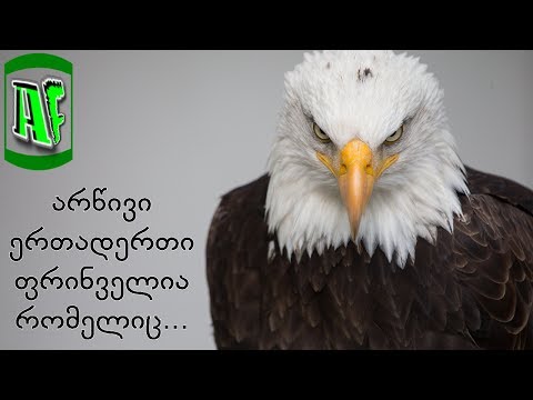 საინტერესო ფაქტები არწივის შესახებ