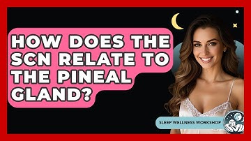 How Does The SCN Relate To The Pineal Gland? - Sleep Wellness Workshop