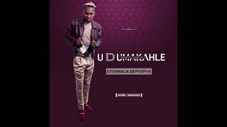 Udumakahle Ubanosnika Lento