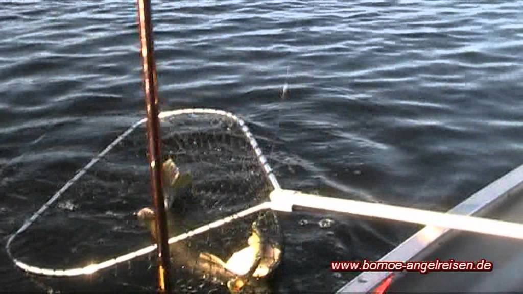 BoMö am Asnensee 2011_