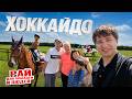 ХОККАЙДО - в гостях у подписчиков | Как выращивают лошадей и почему я хочу переехать