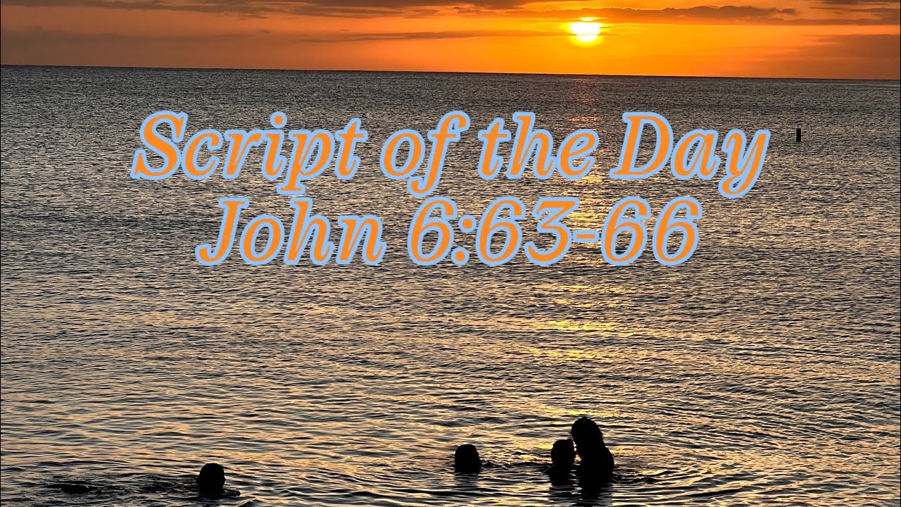 Script of the day: John 6:63-66 - YouTube