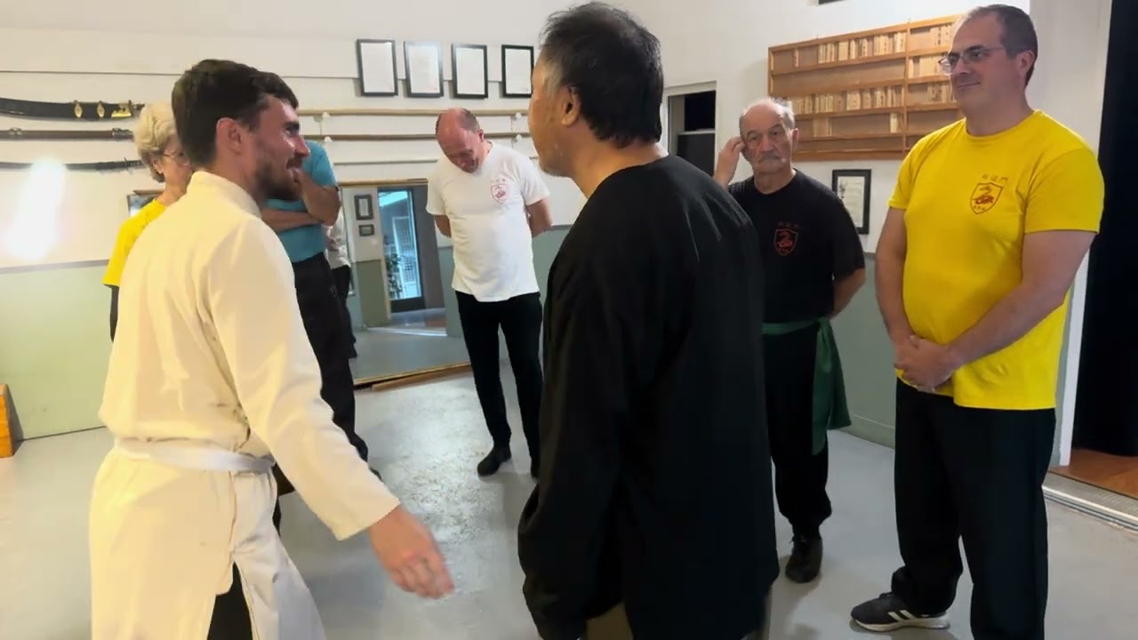 Arts martiaux internes - Xingyi Quan & Taichi Chuan - Onde spirale et vecteur de transmission