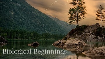 Chapter 2 - Biological Beginnings