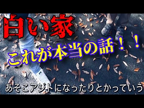 白い家 この話が全て 聞き込み調査 群馬県最恐心霊スポット お化け坂 廃墟だらけの土地 Youtube