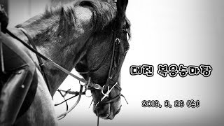 BHRC 20180328