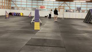 Malcolm Novice Fast 7 June 2025