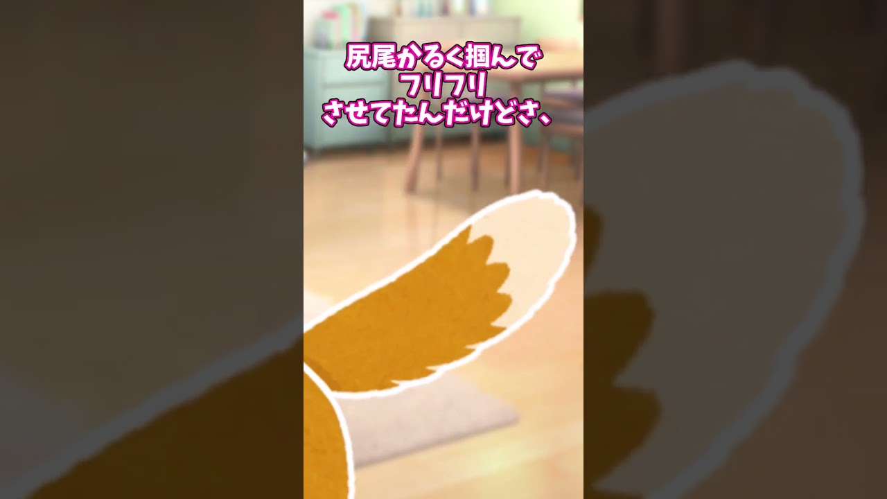 【ほっこり】うちの柴犬の尻尾、ワラビじゃなくゼンマイだわこれ