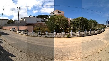 Reolink Captures: One Day Captured on the Video Doorbell