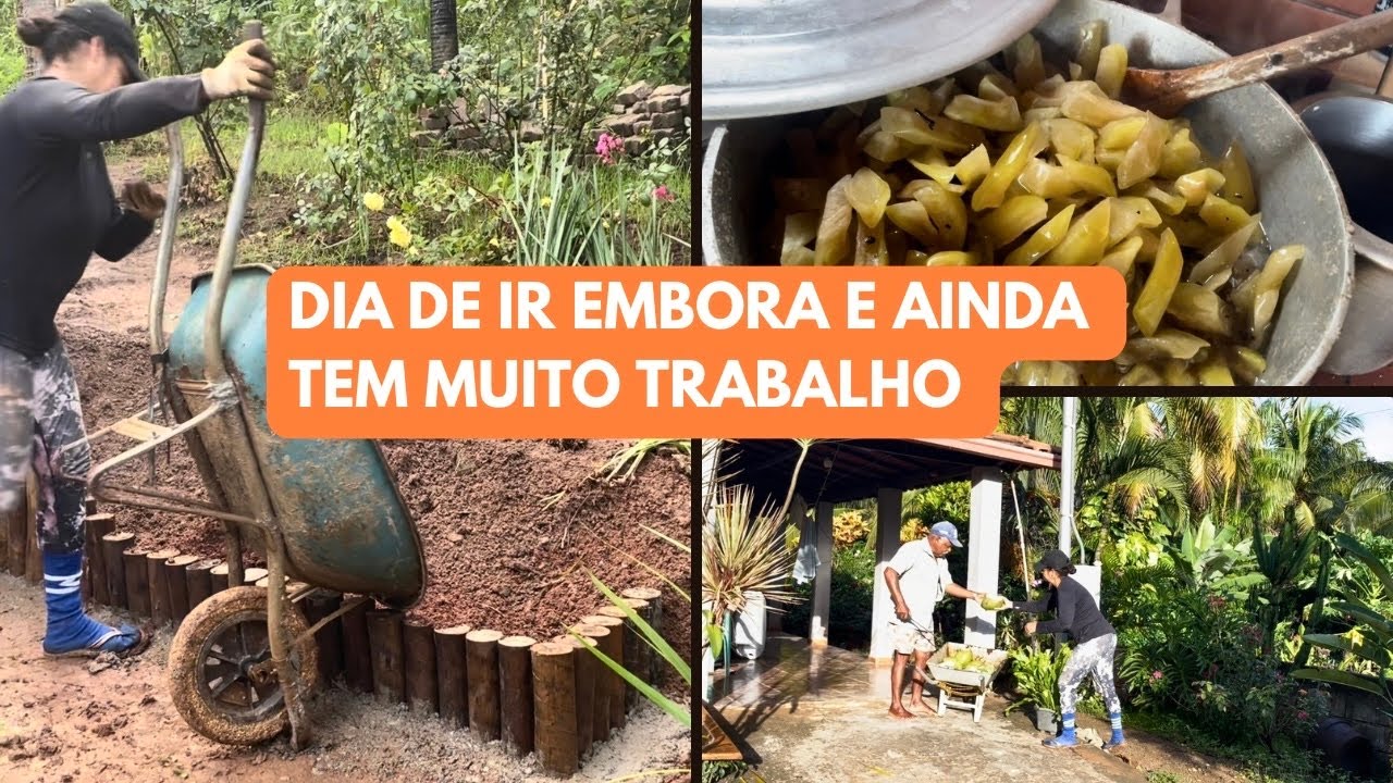 CHEGOU O DIA DE PARTIR E AINDA TEM MUITO TRABALHO/ DOCE DE MAMÃO DA ROÇA PRONTO/ VIAGEM NUBIA VIANA