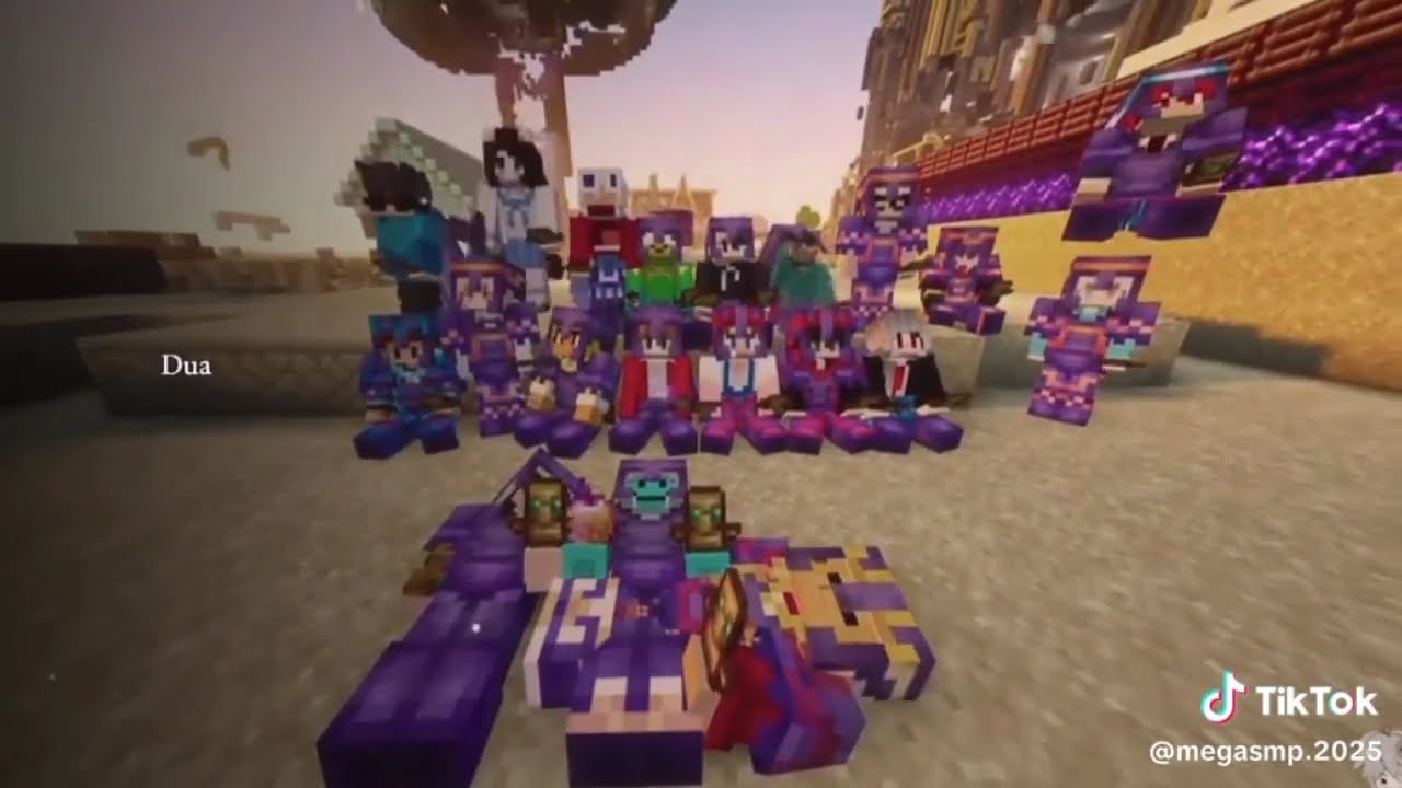 Tổng hợp các video tiktok về Mega SMP #6 / cre: tiktok | Rinnie