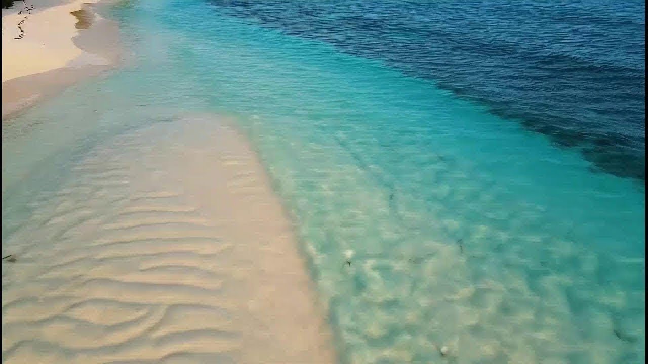 Calm Sunrise View Chill EDM Stream – Deep House Mix for Productivity and Balance 🌤🎶