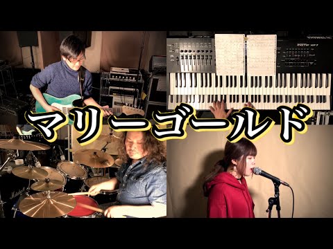 マリーゴールド(Band Cover by 楽団ネコライス)