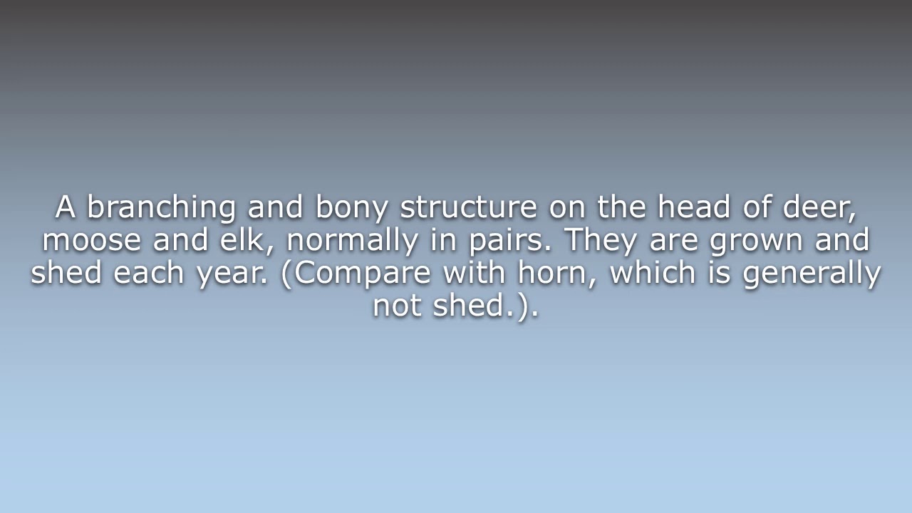 What does Antler mean? YouTube