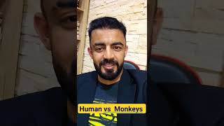 Human Vs Monkey Funny 😁 😂 #Monkeykungfu #Monkey #Funny #Shorts