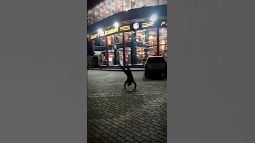 سرمدا بيت الكرم 