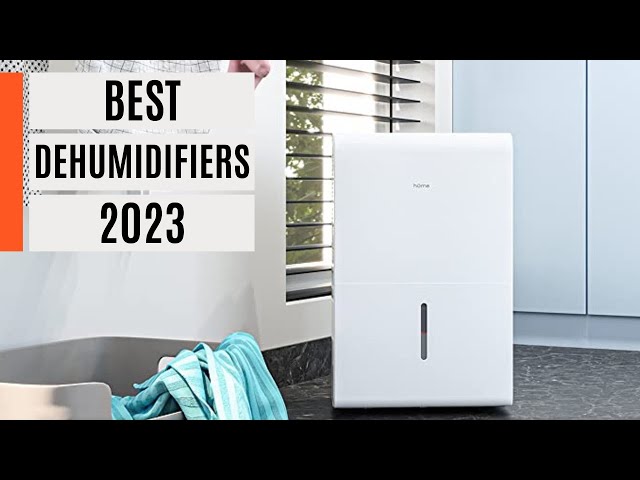 The 5 Best Dehumidifiers of 2023 Reviewed