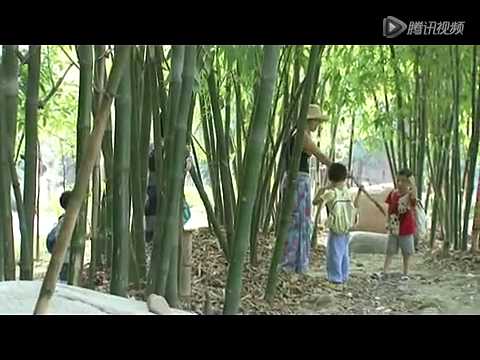 盗火者：中国教育改革调查 (2013) E02P04