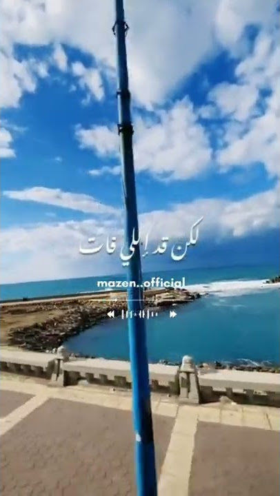 رضا عدى العمر